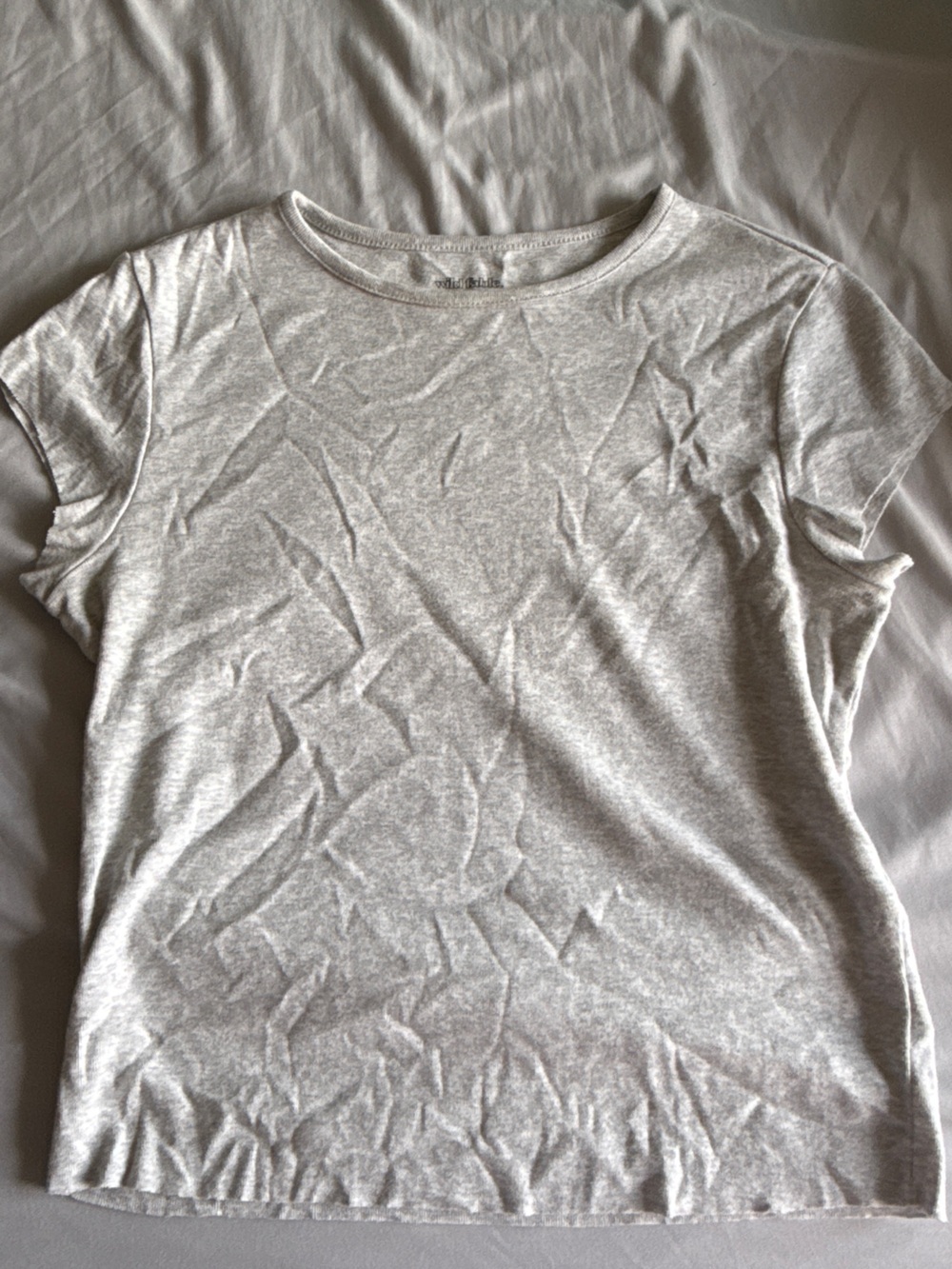 wild fable Light Gray Crop Tee